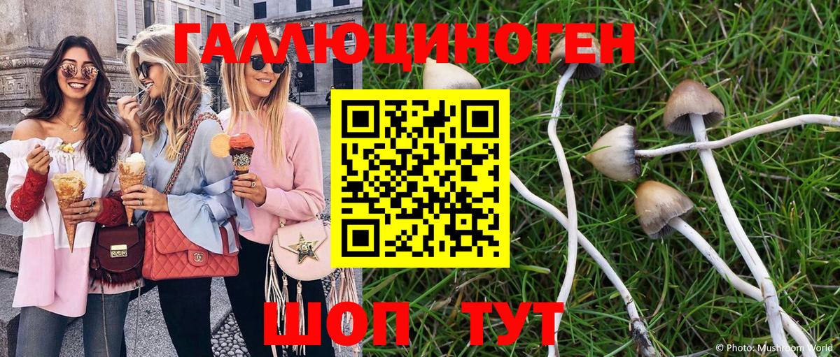 где продают   Вход с VPN  Галлюциногенные грибы Psilocybe  Белгород  Галлюциногенные грибы мухоморы 